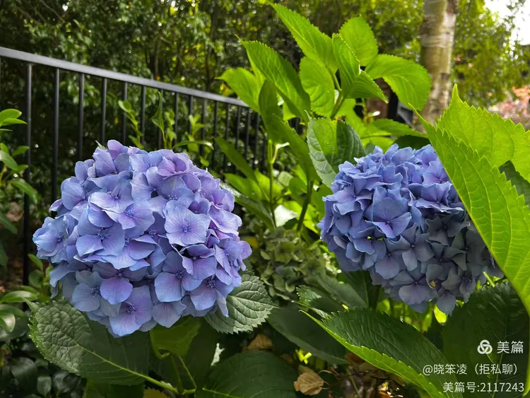 🇳🇿新西兰之旅随记